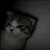 miajane.xyz