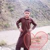 pti.king.8041