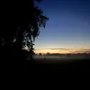 m_inkq