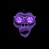 night_shade003