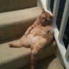 crunchach