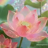 luanhoang1984