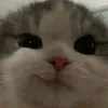 Hhhhinl