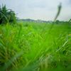 safwan9199