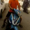 hamza94656