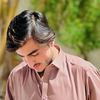 mustafajani799