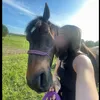 horse._.world228