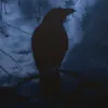 s0fiixx__