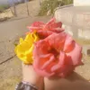 malik.dldar