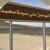 albri_305