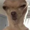 marcionxypk