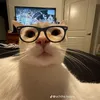 miekontokia