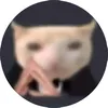 estevaof3lipe