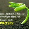 demetsnsnwdemetsn