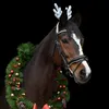takovy_horse_ucet