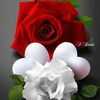 nour.bjaoui5