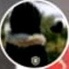 amira_22554
