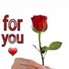 user9786667602594