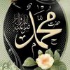 user7744372751880