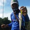 dedy.oncos