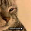 user872142128440