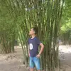 haniff_174