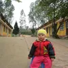 honghnhlb
