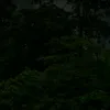 uuuuuuuuuuiiiiiiioooo
