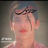 hafezsheabdin