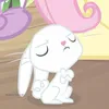 _jwy.zhi_