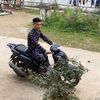 nhatlong10101997