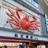 hirokuwa7