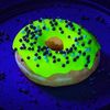 nuclear doughnut