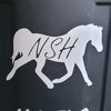 nshhorses