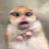 rstctrprtw