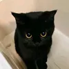 unknownlynoone
