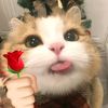 liwlisimup