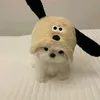 innhu_2