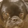 macie.moo1230