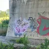 _alicq_