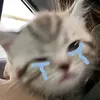 soda_chanhdayy
