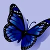 ursula_seefeld633