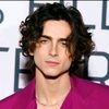 iamtimothee_chalamet_fan