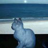 paolaa124090