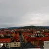 arnfuchs