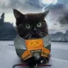 chmonya_frimen