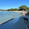 max_bo1777