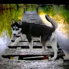 oluso_the_husky2.0