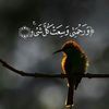 user8731338726037