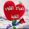 user7397609788672
